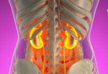 8 სიმპტომი, რომლებიც თირკმელების დაზიანებაზე მიგითითებთ!