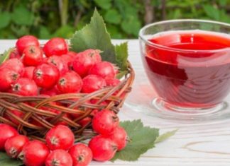 კუნელი თავისი გამაოგნებელი სამკურნალო თვისებების გამო მუდამ არის ჩვენს ოჯახში და მივირთმევთ ეფექტურ ნაყენს