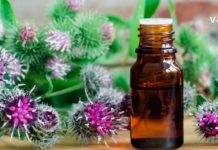 ოროვანდი არის ერთ-ერთი საუკეთესო სამკურნალო მცენარე რომელსაც აქვს გამოყენების ფართო სპექტრი