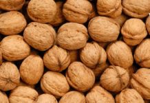 როგორ უნდა გამოვიყენოთ კაკალი სხვადასხვა დაავადებების სამკურნალოდ?