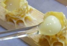 როდის და როგორ უნდა გამოვიყენოთ ფუტკრის რძე, რომ ეფექტური შედეგი მოგვცეს?