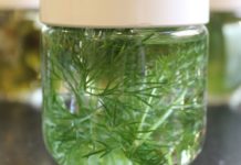 კამის წყალი მეტეორიზმის სამკურნალოდ საუკეთესო საშუალებაა. აი, როგორ უნდა მოამზადოთ ის