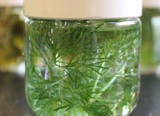 კამის წყალი მეტეორიზმის სამკურნალოდ საუკეთესო საშუალებაა. აი, როგორ უნდა მოამზადოთ ის