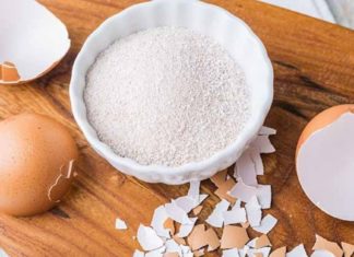 ბუნებრივი კალციუმი, რომელიც სასარგებლოა ფარისებრი ჯირკვალის, სახსრებისა და იმუნური სისტემისთვის!