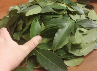 უძველესი სამკურნალო რეცეპტები სხვადასხვა დაავადებების დროს, რომლებმაც საუკუნეებს გაუძლო!