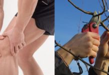 სახსრების ანთებამ და მარილებმა ძალიან დატაჯა მამაჩემი, რა აღარ სცადა და ბოლოს საბედნიეროდ ხალხური მედიცინის რეცეპტები აღმოაჩინა