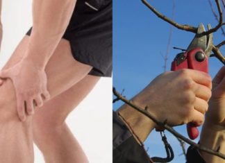 სახსრების ანთებამ და მარილებმა ძალიან დატაჯა მამაჩემი, რა აღარ სცადა და ბოლოს საბედნიეროდ ხალხური მედიცინის რეცეპტები აღმოაჩინა