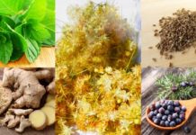 ახლა ჩემი პანკრეასი საათივით მუშაობს – სამკურნალო საშუალებების ჩამონათვალი ტრადიციული მედიცინის არსენალიდან