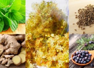 ახლა ჩემი პანკრეასი საათივით მუშაობს – სამკურნალო საშუალებების ჩამონათვალი ტრადიციული მედიცინის არსენალიდან