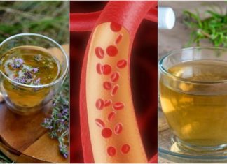 სისხლის გაწმენდა აუცილებელია ყველას ორგანიზმისთვის