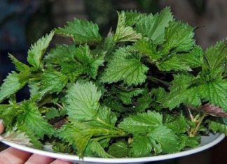 მამაჩემი რამდენიმე წელია მშენებლობაზე მუშაობს და ხელებზე კანი ისე გამოუშრა და დაუსკდა, რამდენიმე დღე ვერც კი წავიდა სამუშაოდ. ბოლოს მეგობარმა ეს რეცეპტი მასწავლა და შვებით ამოვისუნთქეთ.