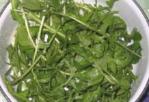 წიწმატურას სამკურნალო თვისებები აღმოჩენილია. ეს კურნავს კუჭის წყლულს, შარდის ბუშტის ანთებას, თირკმელების კენჭოვან დაავადებას, ყურებში შუილს და სხვ.