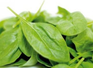 ჩემი მეუღლე 20 წლის განმავლობაში აქტიური მწეველი იყო. ამან ჯანმრთელობა არამარტო მას დაუზიანა, არამედ გარშემომყოფებსაც.  ამ საოცარი მცენარეებით მან შეძლო თამბაქოს მიტოვება.