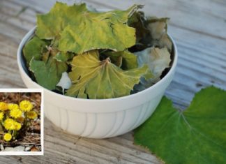 დეიდაჩემს დიდი ხნის განმავლობაში თირკმელები აწუხებდა, უსივდებოდა ფეხები და სამსახურშიც ვერ დადიოდა, სანამ ეს საოცარი მეთოდები არ აღმოაჩინა