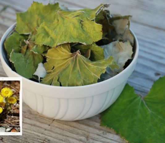 დეიდაჩემს დიდი ხნის განმავლობაში თირკმელები აწუხებდა, უსივდებოდა ფეხები და სამსახურშიც ვერ დადიოდა, სანამ ეს საოცარი მეთოდები არ აღმოაჩინა