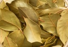 გამოიყენეთ დაფნის ფოთოლი ამ შედეგის მისაღებად! ნახეთ, რა გამოდის მისგან…