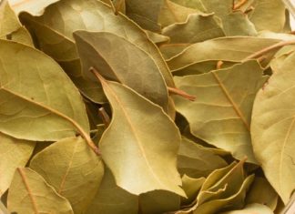 გამოიყენეთ დაფნის ფოთოლი ამ შედეგის მისაღებად! ნახეთ, რა გამოდის მისგან…