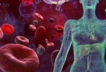 მოამზადეთ ეს რეცეპტი და აიმაღლეთ ჰემოგლობინი ნატურალური პროდუქტებით.