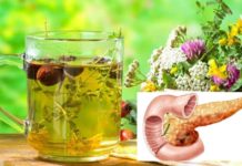 დღეს გაგიზიარებთ, როგორ შევებრძოლე პანკრიატიტს ხალხური მეთოდების წყალობით