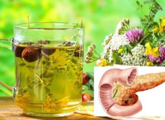 დღეს გაგიზიარებთ, როგორ შევებრძოლე პანკრიატიტს ხალხური მეთოდების წყალობით