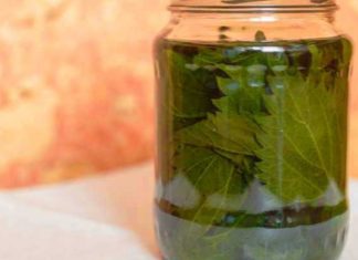 თუ სკლეროზი გტანჯავთ და არ იცით რა მოიმოქმედოთ, მაშინ ეს სტატია თქვენთვისაა