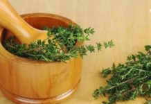 ბეგქონდარა ის მცენარეა, რომელიც მუდამ უნდა გქონდეთ სახლში. გაგაცნობთ მის სამკურნალო რეცეპტებს.