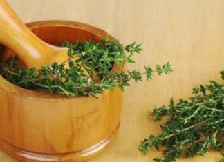 ბეგქონდარა ის მცენარეა, რომელიც მუდამ უნდა გქონდეთ სახლში. გაგაცნობთ მის სამკურნალო რეცეპტებს.