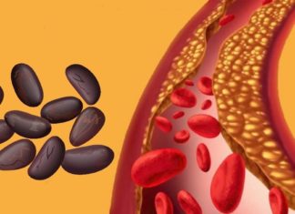 ეს 6 ინგრედიენტი ძალიან მნიშნელოვანია ქოლესტერინის დამარცხებისთვის. ჩართეთ ისინი თქვენს რაციონში!