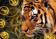 ჩინური ჰოროსკოპი-ვეფხვი