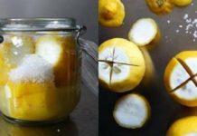 დამარინადებული ლიმონი. რომელიც შეგიძლიათ შეინახით დიდი ხნით