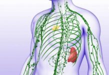 ლიმფის გაწმენდა ორგანიზმში: ფასდაუდებელი მცენარეული რეცეპტი