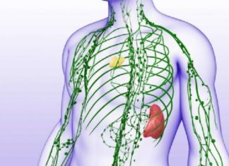 ლიმფის გაწმენდა ორგანიზმში: ფასდაუდებელი მცენარეული რეცეპტი
