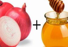 ამის ცოდნა მნიშვნელოვანია – 5 განმაცვიფრებელი საშუალება ტვინის სისხლძარღვების გასაწმენდად