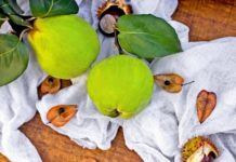 კომში შემოდგომის საუკეთესო წამალია და მას ჯანდაცვის სამსახურში დიდი ხანია ახსენებენ. აი, რას კურნავს ეს ყველაფერი და როგორ შეგიძლიათ გამოიყენოთ იგი თქვენს დიეტაში.