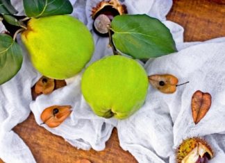 კომში შემოდგომის საუკეთესო წამალია და მას ჯანდაცვის სამსახურში დიდი ხანია ახსენებენ. აი, რას კურნავს ეს ყველაფერი და როგორ შეგიძლიათ გამოიყენოთ იგი თქვენს დიეტაში.