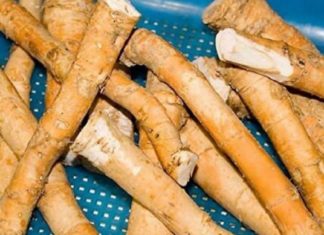 Რა დროს არის ეფექტური პურშუშხა ? საუკეთესო საშუალებაა  გაციების, თავის ტკივილის, რევმატიზმისა და სხვა პრობლემების დროს