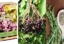 ეს პოსტი თქვენთვისაა! სცადეთ ეს 3 რეცეპტი და ალერგიას სამუდამოდ დაემშვიდობეთ.