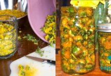 ექიმებიც კი შოკში არიან ამ საშუალებით! რომელიც მოგიხსნით სახსრების ტკივილს და გაგიქრობთ პოდაგრას!