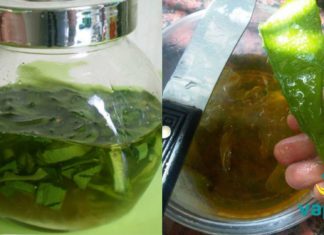 დღეში მხოლოდ 2 ჩ.კ. და დაივიწყებთ გასტრიტს, წყლულს, ყაბზობას და თირკმელებში კენჭებს!