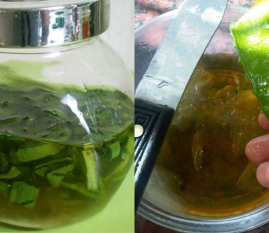 დღეში მხოლოდ 2 ჩ.კ. და დაივიწყებთ გასტრიტს, წყლულს, ყაბზობას და თირკმელებში კენჭებს!