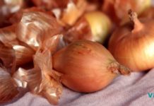 ის სასწაულებს ახდენს!! ამის შემდეგ, თქვენ არასდროს აღარ გადაყრით ხახვის ქერქებს!