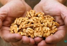 მიირთვით 7 ცალი ნიგოზი და დაელოდეთ 4 საათი: აი, რა დაგემართებათ! ნიგოზი