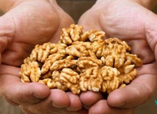 მიირთვით 7 ცალი ნიგოზი და დაელოდეთ 4 საათი: აი, რა დაგემართებათ! ნიგოზი