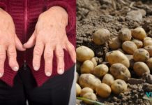 პირდაპირ ბებოს წიგნაკიდან! “ვერასდროს წარმოვიდგენდი თუ კარტოფილი ამ დაავადებას მომირჩენდა”