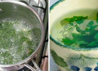 ეს ნაყენი 95%-ით გაგიწმინდავთ თირკმელებს!!! აღარ იყიდოთ ძვირადღირებული წამლები… ოხრახუში