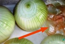 დაივიწყეთ თმის ცვენა! აი, თურმე რა შველის მას.