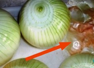 დაივიწყეთ თმის ცვენა! აი, თურმე რა შველის მას.