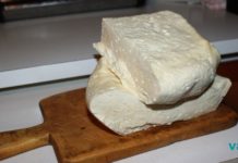 ყველი ნარკოტიკია! ამას მეცნიერული კვლევებიც ადასტურებენ!