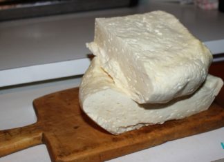 ყველი ნარკოტიკია! ამას მეცნიერული კვლევებიც ადასტურებენ!