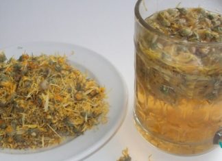 როგორ გამოვიყენოთ გვირილა პირის ღრუსა და თვალების გასაწმენდად?! შეიტყვეთ მეტი ამ უნიკალური საშუალების შესახებ!..